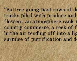Suttree Passage