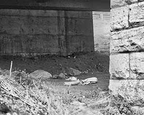 Kopp Knoxville Viaduct